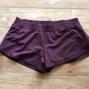 Mauve hotty hot shorts 2.5 with black trim